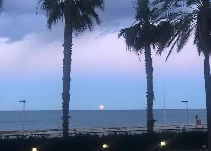 Azul Marino 德尼亚