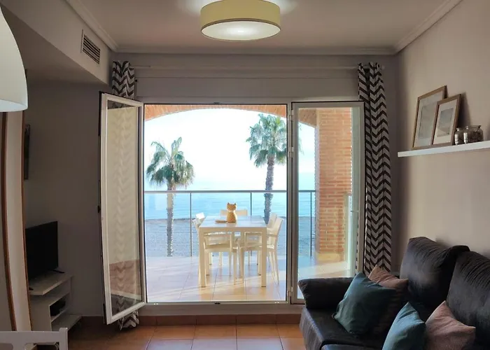 Azul Marino * 德尼亚